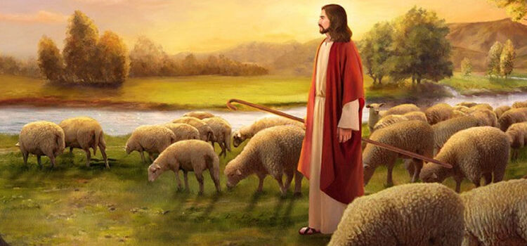 Deixe-se conduzir por Jesus, o Bom Pastor! - Catequese - material de apoio para catequistas Deixe-se conduzir por Jesus, o Bom Pastor! - Catequese - material de apoio para catequistas